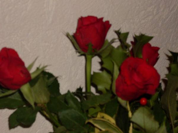 rosen.jpg