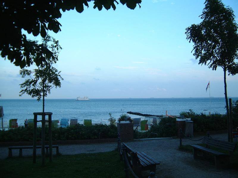 dscf0339.jpg