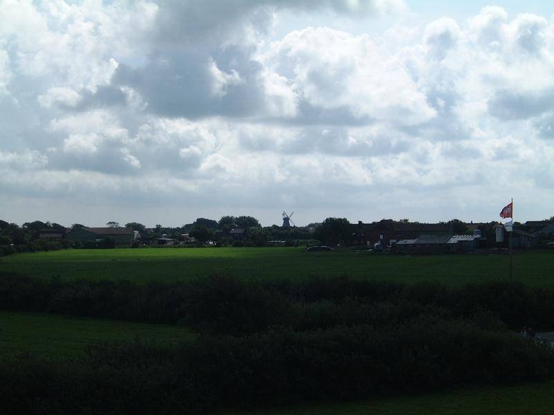 dscf0350.jpg
