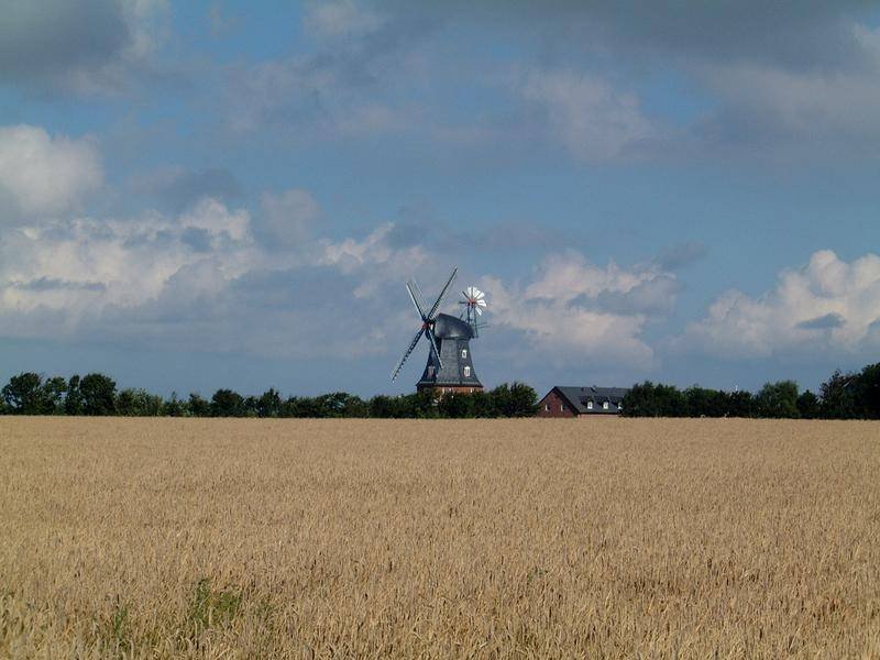 dscf0368.jpg