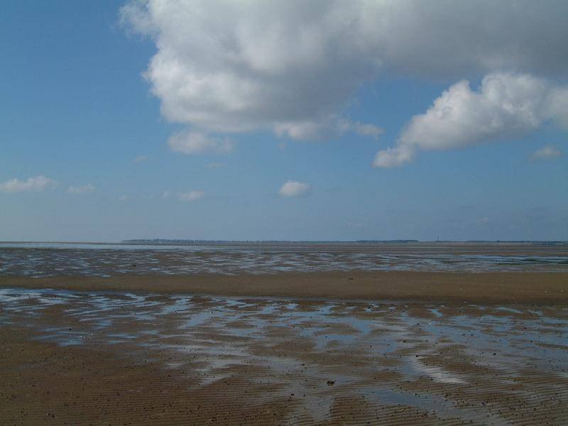 dscf0373.jpg