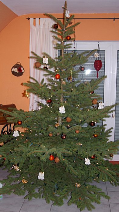 weihnachtsbaum2006.jpg