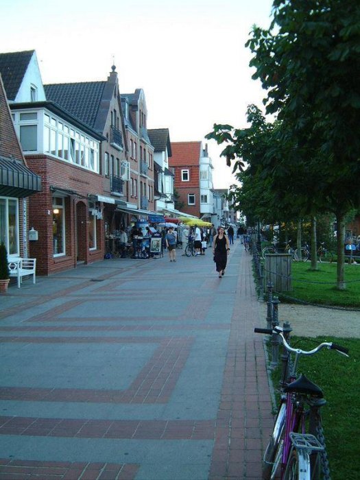 dscf0337.jpg