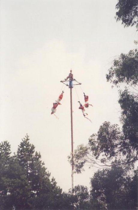 mx_19.jpg