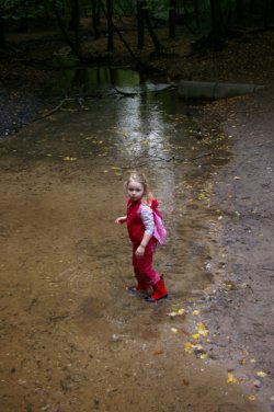 Waldspaziergang