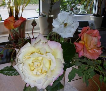 Rosen im Esszimmer